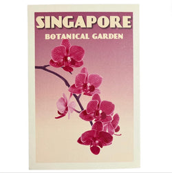 Vintage Poster - Postcards Singapore Orchids