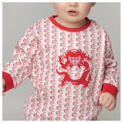 Pinyin Kids T-shirt long Sleeve Dragon