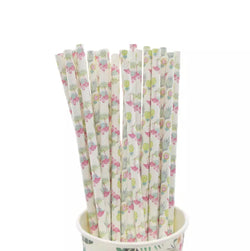 Paper Straws - pack of 25