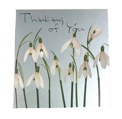 Greeting  Cards -  Thinking of You Snowdrops