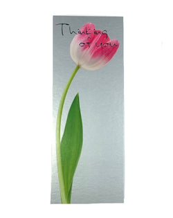 Greeting Cards Long : Thinking of You Tulip